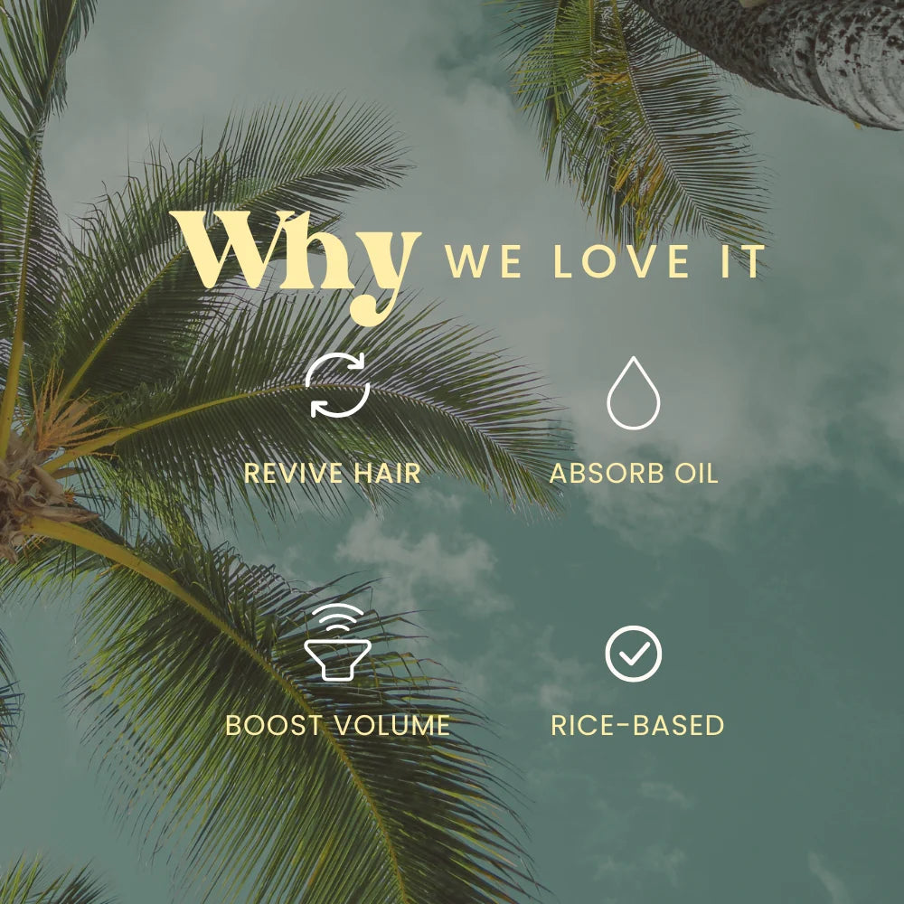 PRE-ORDER: Second Chance Dry Shampoo